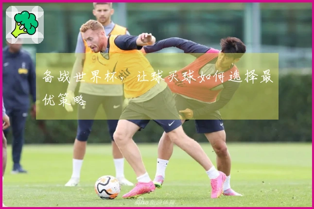 备战世界杯，让球买球如何选择最优策略