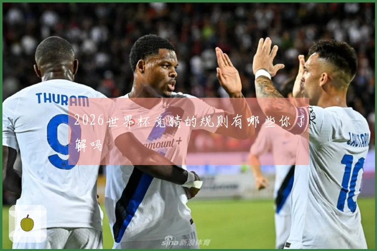 2026世界杯竞猜的规则有哪些你了解吗