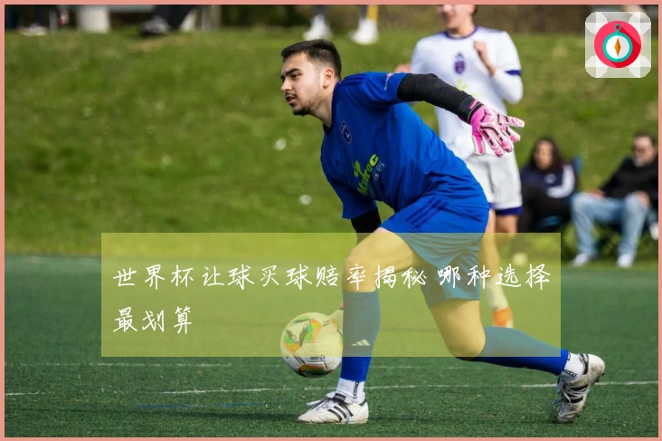 世界杯让球买球赔率揭秘 哪种选择最划算