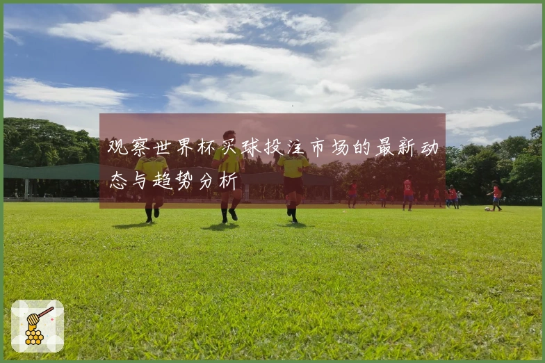 观察世界杯买球投注市场的最新动态与趋势分析