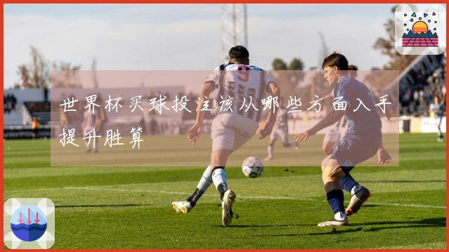 世界杯买球投注该从哪些方面入手提升胜算