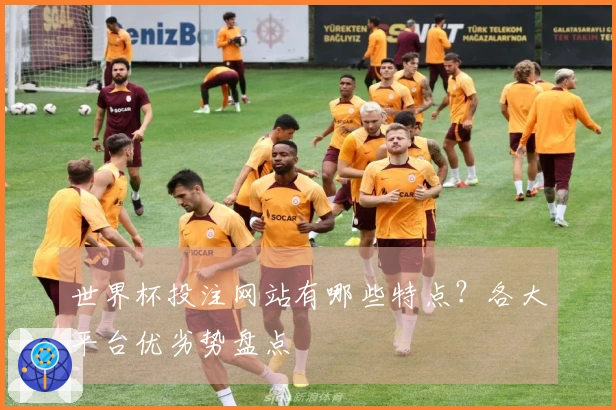 世界杯投注网站有哪些特点？各大平台优劣势盘点
