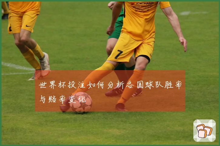 世界杯投注如何分析各国球队胜率与赔率变化