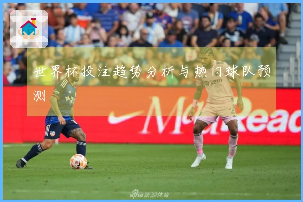 世界杯投注趋势分析与热门球队预测